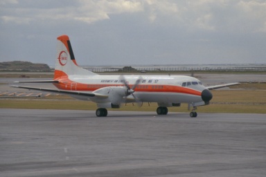 JA8787@1985N1@ߔe